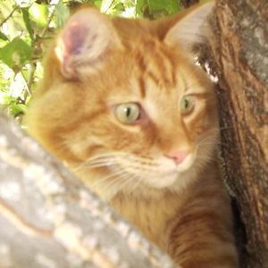 Meet your Posher, Gail